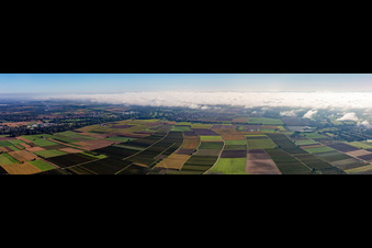 Panorama Tiefen-Tal in Billigheim-Ingenheim im Bundesland Rheinland-Pfalz, Deutschland