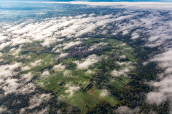 Eine Insel im Bienwald unter Wolken im Ortsteil Büchelberg in Wörth am Rhein im Bundesland Rheinland-Pfalz, Deutschland