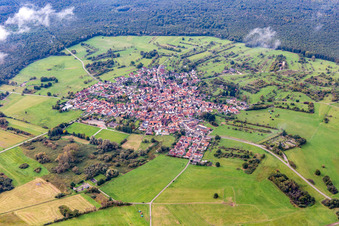 Schrägluftbild von Eine Insel im Bienwald unter Wolken im Ortsteil Büchelberg in Wörth am Rhein im Bundesland Rheinland-Pfalz, Deutschland