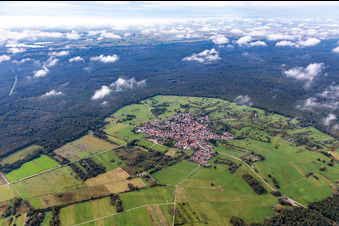 Eine Insel im Bienwald unter Wolken im Ortsteil Büchelberg in Wörth am Rhein im Bundesland Rheinland-Pfalz, Deutschland von oben