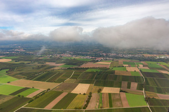 Ortschaft unter herbstlichen Wolken von Süden im Ortsteil Billigheim in Billigheim-Ingenheim im Bundesland Rheinland-Pfalz, Deutschland