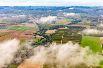 Horbachtal unter herbstlichen Wolken von Osten im Ortsteil Ingenheim in Billigheim-Ingenheim im Bundesland Rheinland-Pfalz, Deutschland