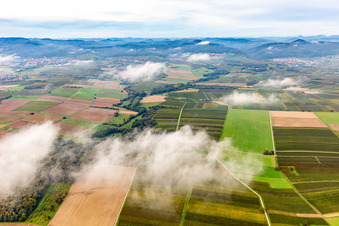Luftbild von Horbachtal unter herbstlichen Wolken von Osten im Ortsteil Ingenheim in Billigheim-Ingenheim im Bundesland Rheinland-Pfalz, Deutschland