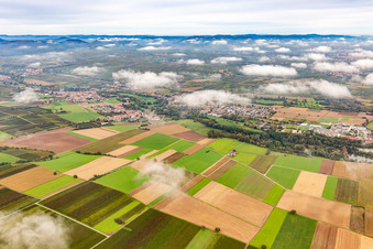 Ortschaft unter herbstlichen Wolken im Ortsteil Mühlhofen in Billigheim-Ingenheim im Bundesland Rheinland-Pfalz, Deutschland