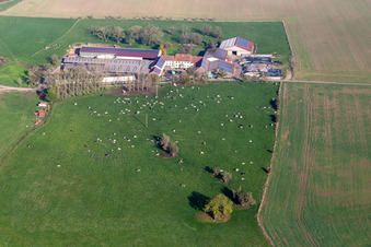 Ferme de Karleskind Guy in Gros-Réderching im Bundesland Moselle, Frankreich