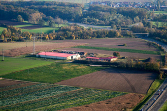 Hühnerhof Eierfarm in Erlenbach bei Kandel im Bundesland Rheinland-Pfalz, Deutschland aus der Luft