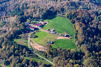 SV König Ludwig 1906 e.V. Lautzkirchen in Blieskastel im Bundesland Saarland, Deutschland