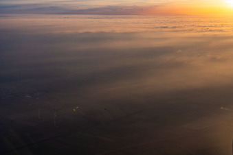 Luftaufnahme von Minfeld im Bundesland Rheinland-Pfalz, Deutschland