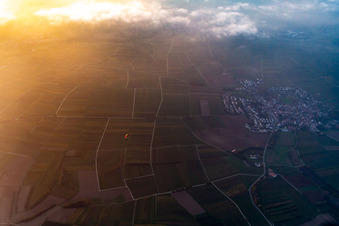 Ortsteil Mörzheim in Landau in der Pfalz im Bundesland Rheinland-Pfalz, Deutschland aus der Luft