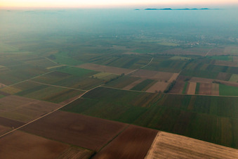 Ortsteil Mühlhofen in Billigheim-Ingenheim im Bundesland Rheinland-Pfalz, Deutschland von einer Drohne aus