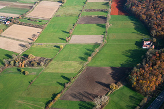 Erlenbachtal Herrenmühle in Erlenbach bei Kandel im Bundesland Rheinland-Pfalz, Deutschland