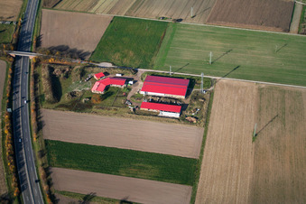 Hühnerhof Eierfarm in Erlenbach bei Kandel im Bundesland Rheinland-Pfalz, Deutschland von oben gesehen