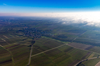 Bienwald unter Wolken in Dierbach im Bundesland Rheinland-Pfalz, Deutschland