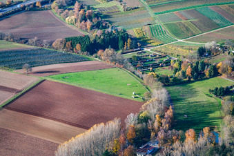 Schrägluftbild von ASV Klares Wasser im Quodbachtal an der Fischerhütte in Insheim im Bundesland Rheinland-Pfalz, Deutschland