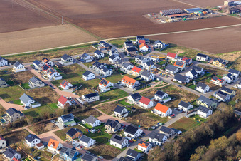 Veilchenweg, Narzissenweg in Kandel im Bundesland Rheinland-Pfalz, Deutschland