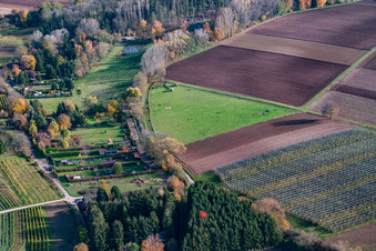 Weide in Rohrbach im Bundesland Rheinland-Pfalz, Deutschland von oben