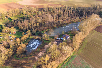 Luftbild von ASV Klares Wasser Insheim am Quodbach im Winter im Bundesland Rheinland-Pfalz, Deutschland