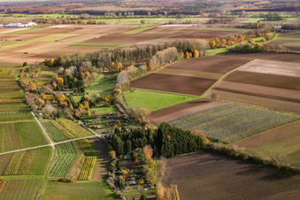 ASV Klares Wasser im Quodbachtal an der Fischerhütte in Insheim im Bundesland Rheinland-Pfalz, Deutschland aus der Luft