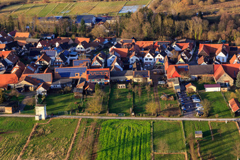 Weinstube Zur Hofschänke in Winden im Bundesland Rheinland-Pfalz, Deutschland