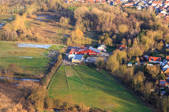 Weberhof an der Waschgasse in Billigheim-Ingenheim im Bundesland Rheinland-Pfalz, Deutschland