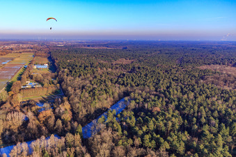 Gefrorene Fischweiher am Bienwaldrand in Steinfeld im Bundesland Rheinland-Pfalz, Deutschland