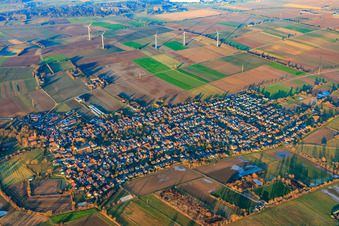 Luftbild von Windpark im Winter in Minfeld im Bundesland Rheinland-Pfalz, Deutschland