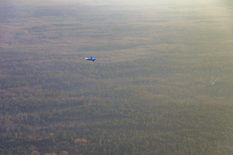 Sportflugzeugt D-MFFA über dem Bienwald im Ortsteil Büchelberg in Wörth am Rhein im Bundesland Rheinland-Pfalz, Deutschland