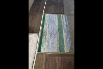 Luftbild von Salatfelder in Offenbach an der Queich im Bundesland Rheinland-Pfalz, Deutschland