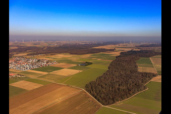 Ortsansicht aus Westen in Steinweiler im Bundesland Rheinland-Pfalz, Deutschland