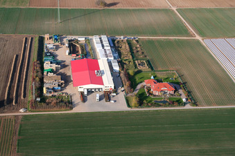 Gemüseanbau - Dieter Stubenbordt in Zeiskam im Bundesland Rheinland-Pfalz, Deutschland vom Flugzeug aus