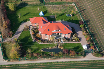 Gemüseanbau - Dieter Stubenbordt in Zeiskam im Bundesland Rheinland-Pfalz, Deutschland aus der Vogelperspektive
