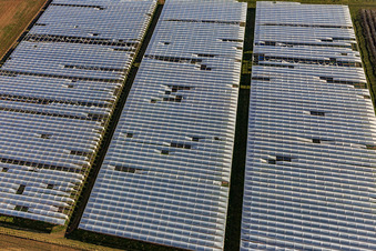 Landwirtschaftlicher Anbau unter Folientunnel in Insheim im Bundesland Rheinland-Pfalz, Deutschland