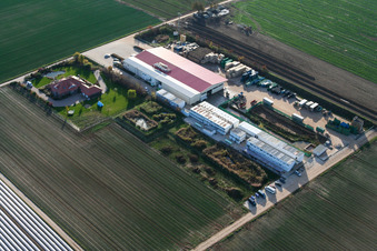 Gemüseanbau - Dieter Stubenbordt in Zeiskam im Bundesland Rheinland-Pfalz, Deutschland von einer Drohne aus