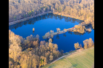 Bärensee in Ottersheim bei Landau im Bundesland Rheinland-Pfalz, Deutschland