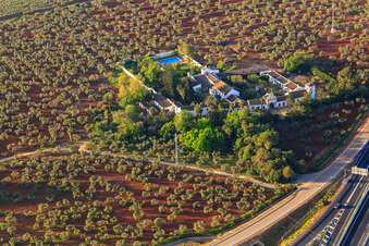 Hacienda nueva del Rosario zwischen Olivenbaumplantagen in Dos Hermanas im Bundesland Sevilla, Spanien
