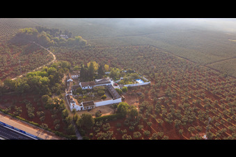 Hacienda nueva del Rosario zwischen Olivenbaumplantagen an der A-4 Autovia del Sur in Dos Hermanas im Bundesland Sevilla, Spanien