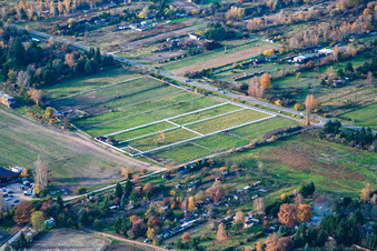 Reitverein Neustadt/Weinstrasse e.V. Pfalzmühle im Ortsteil Mußbach an der Weinstraße in Neustadt an der Weinstraße im Bundesland Rheinland-Pfalz, Deutschland