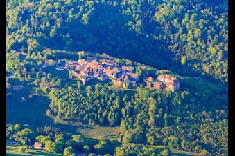 Burg Lützelstein / Château de La Petite-Pierre am Morgen von Norden im Bundesland Bas-Rhin, Frankreich