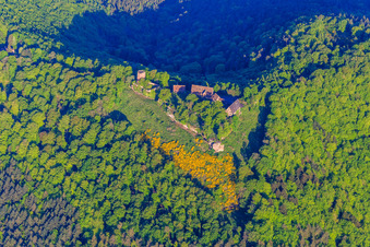 CHÂTEAU DU HUNEBOURG aus Osten in Dossenheim-sur-Zinsel im Bundesland Bas-Rhin, Frankreich
