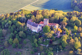 Burg und Burgpark Gamburg in Werbach im Bundesland Baden-Württemberg, Deutschland