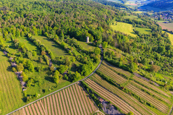 Weikersheimer Wartturm und Weinberge mit Weinlage Weikersheimer Schmecker im Bundesland Baden-Württemberg, Deutschland