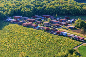 Hallenplatz am Waldrand in Tauberrettersheim im Bundesland Bayern, Deutschland