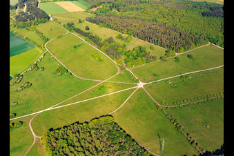 Luftbild von Naturschutzgebiet Brachenleite bei Tauberbischofsheim im Bundesland Baden-Württemberg, Deutschland