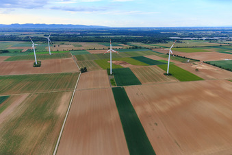 Windpark Minfeld im Bundesland Rheinland-Pfalz, Deutschland von oben gesehen