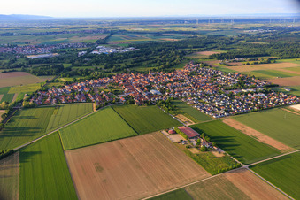 Ortsansicht aus Südwesten in Steinweiler im Bundesland Rheinland-Pfalz, Deutschland aus der Luft
