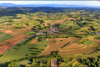 Luftbild von Dorfansicht aus Norden im Ortsteil Wallburg in Ettenheim im Bundesland Baden-Württemberg, Deutschland