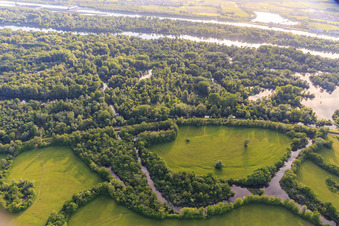 Luftbild von Naturschutzgebiet Taubergiessen zwischen Rheinauen und Rhein in Ortenaukreis im Bundesland Baden-Württemberg, Deutschland
