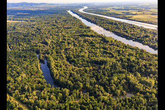 Luftaufnahme von Naturschutzgebiet Taubergiessen zwischen Rheinauen und Rhein in Ortenaukreis im Bundesland Baden-Württemberg, Deutschland