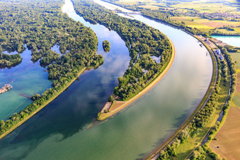 Spitze des Naturschutzgebiet Rheininsel - Réserve Naturelle de l'Île de Rhinau im Bundesland Bas-Rhin, Frankreich