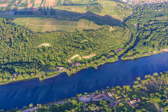 Limberg am Rhein in Sasbach am Kaiserstuhl im Bundesland Baden-Württemberg, Deutschland